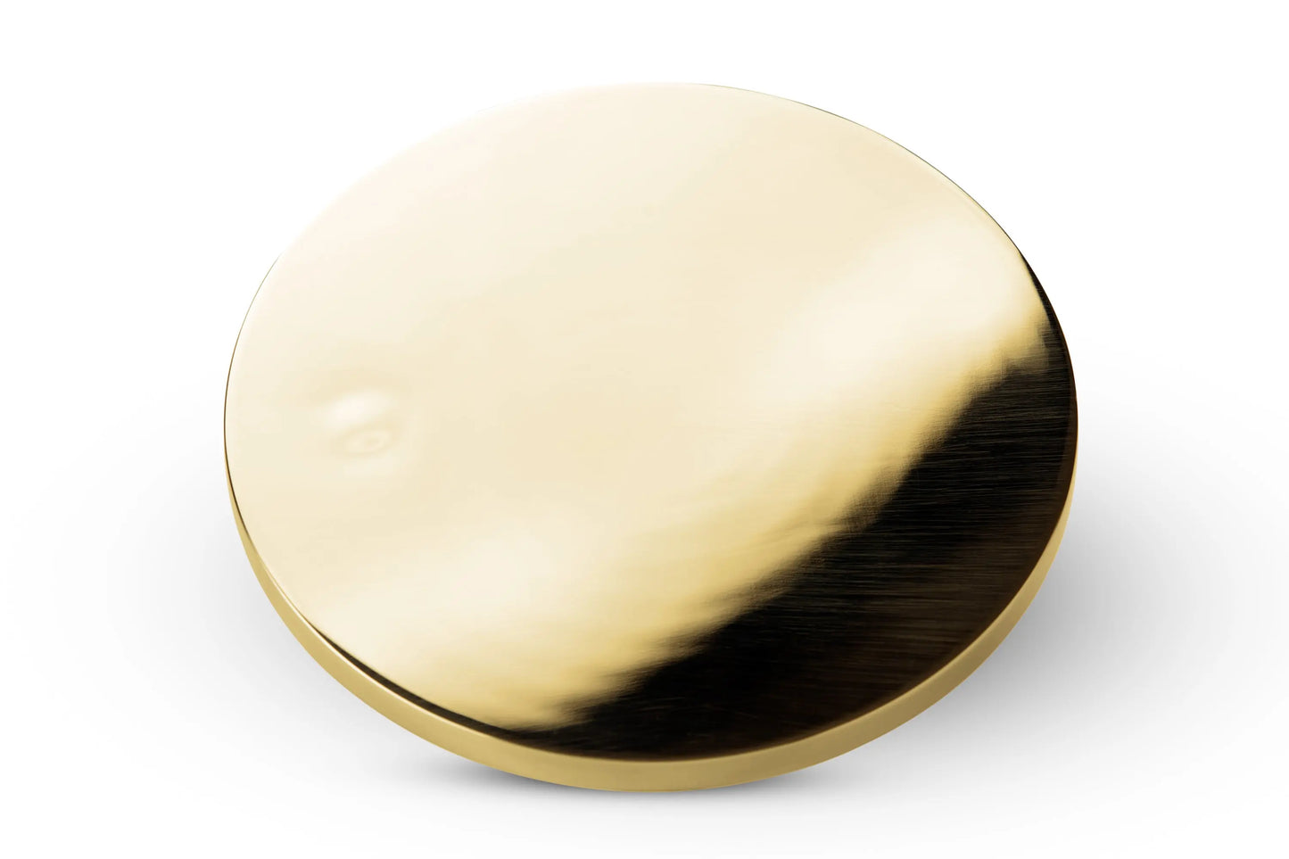 Josh Niland's Stainless Steel Fish Weight/Press | GOLD | Pre-Order for April 2026 The Fish Weight