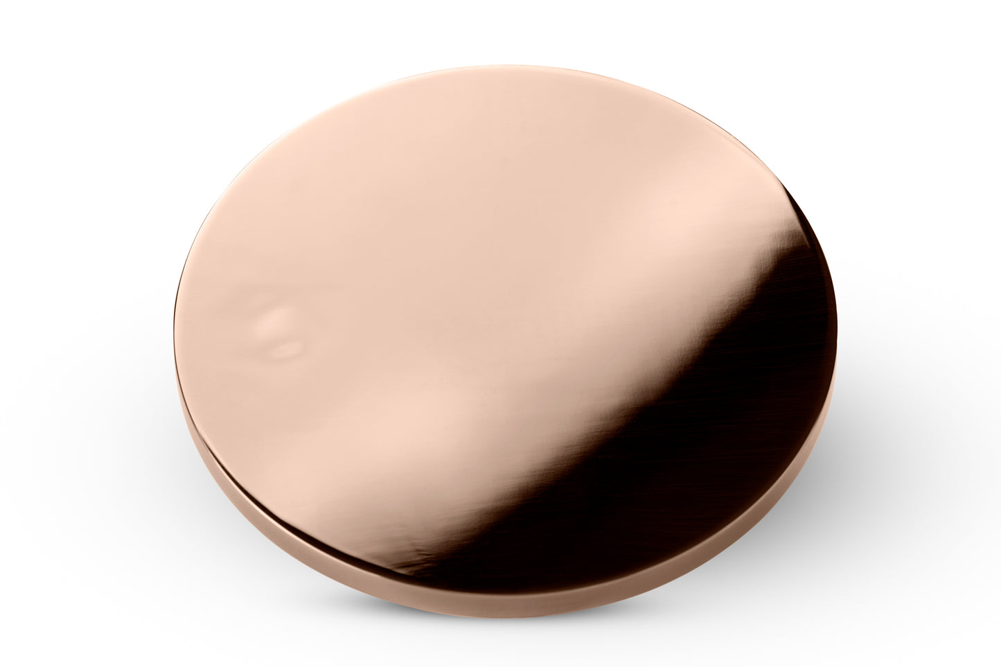 Josh Niland's Stainless Steel Fish Weight/Press | ROSE GOLD
