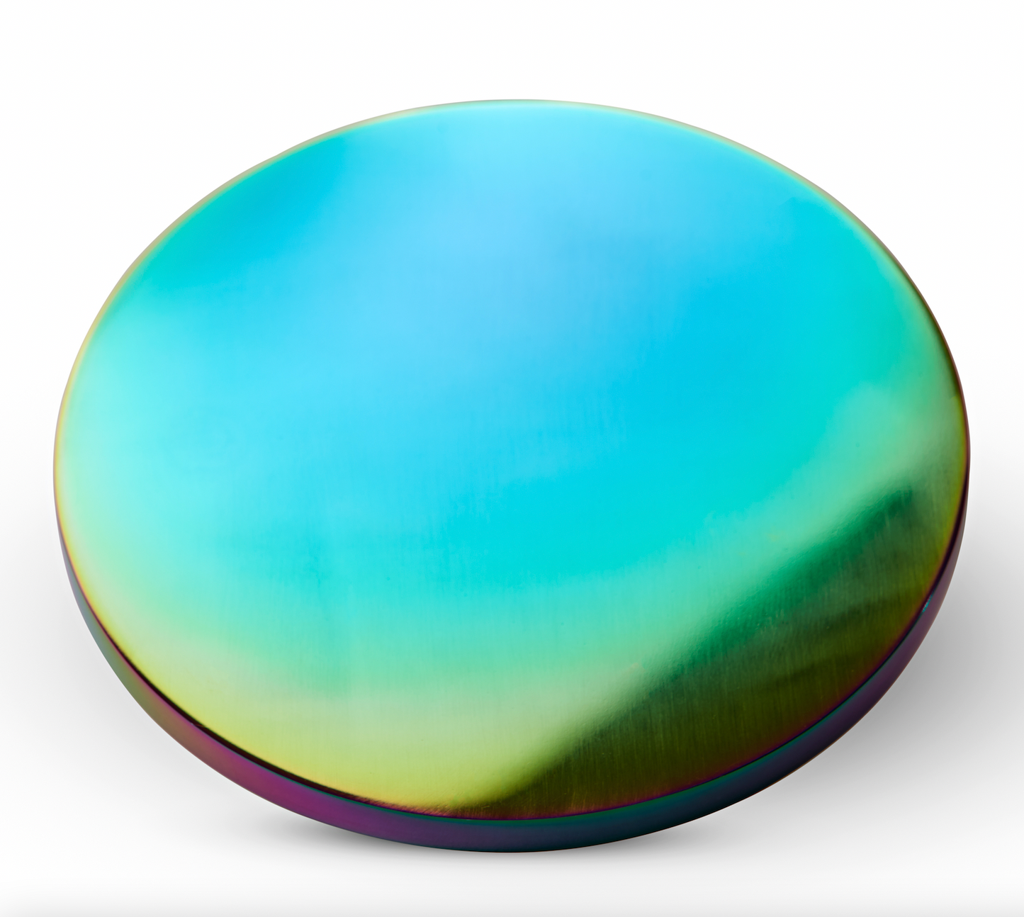 Josh Niland's Stainless Steel Fish Weight/Press | RAINBOW