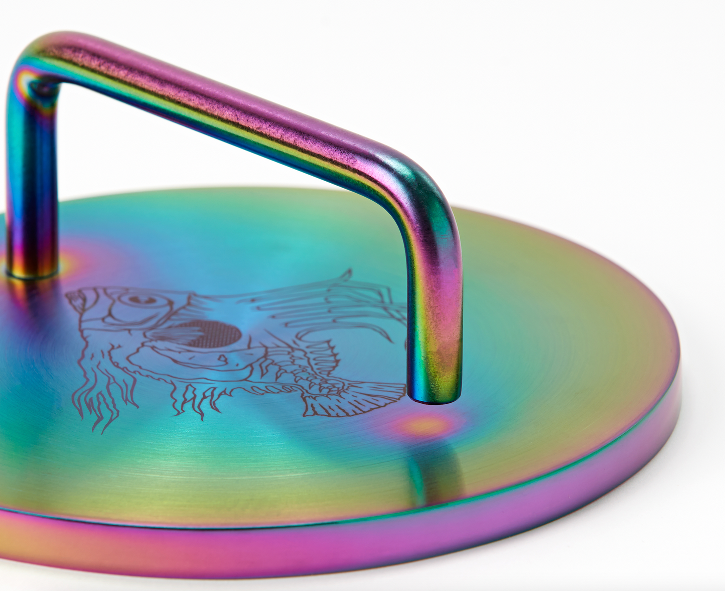 Josh Niland's Stainless Steel Fish Weight/Press | RAINBOW