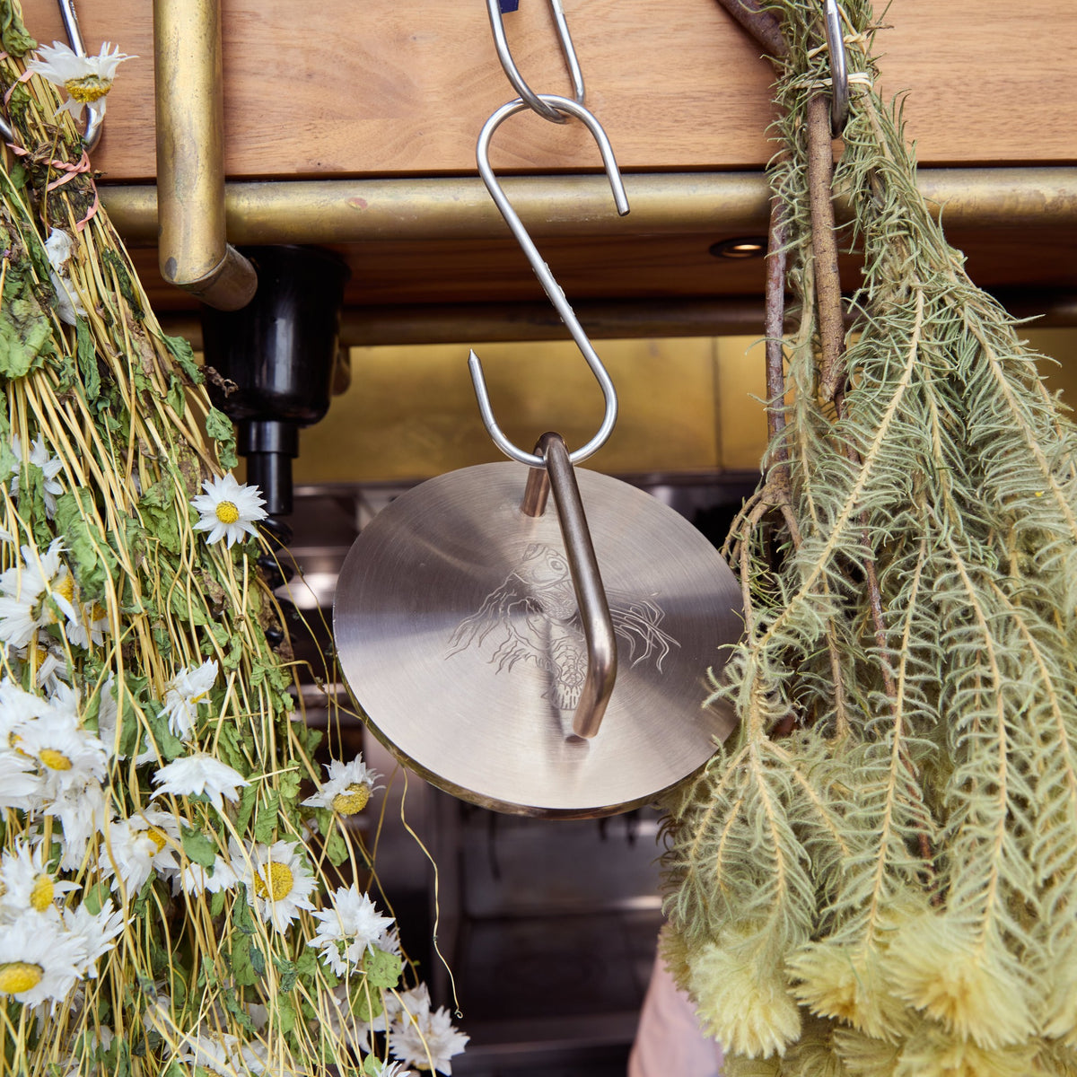 Bronze Fish Weight in a home kitchen