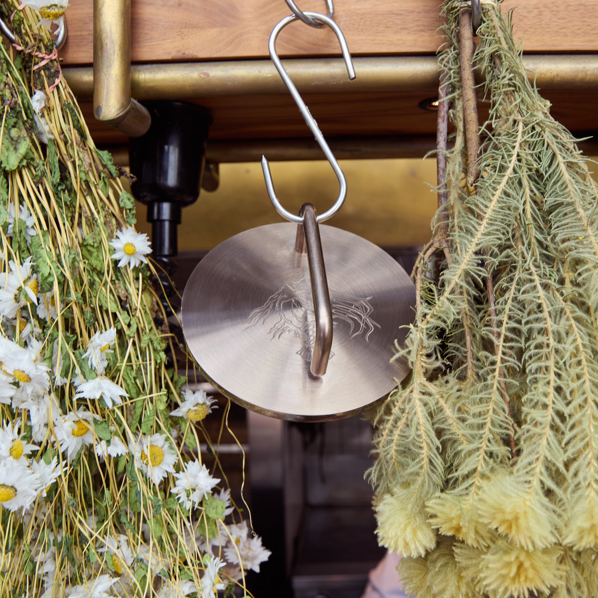 Bronze Fish Weight hanging from a hook in the kitchen