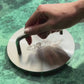 Josh Niland's Stainless Steel Fish Weight/Press | Pre-order for October